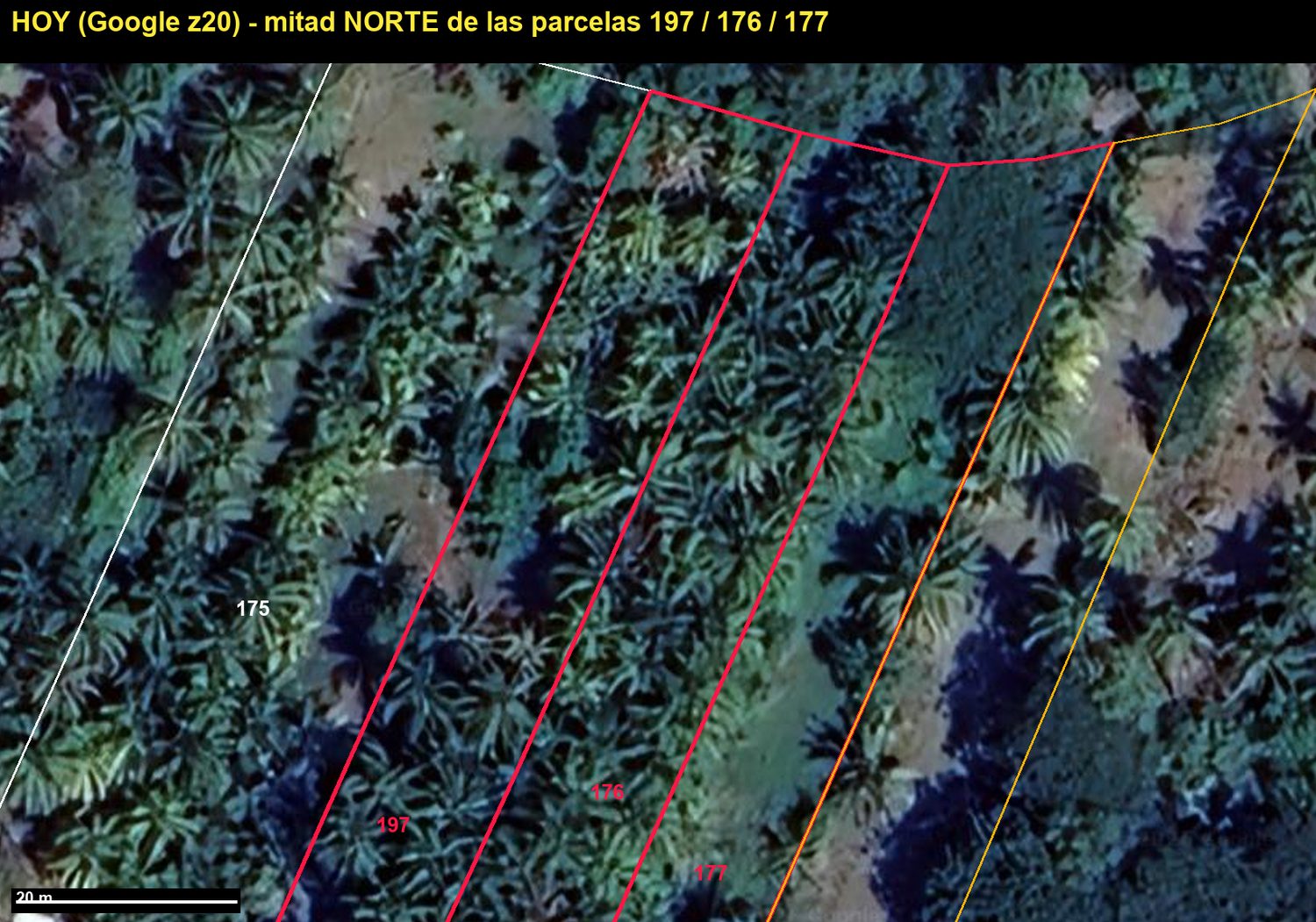 La mitad norte de las parcelas, sin construcción
